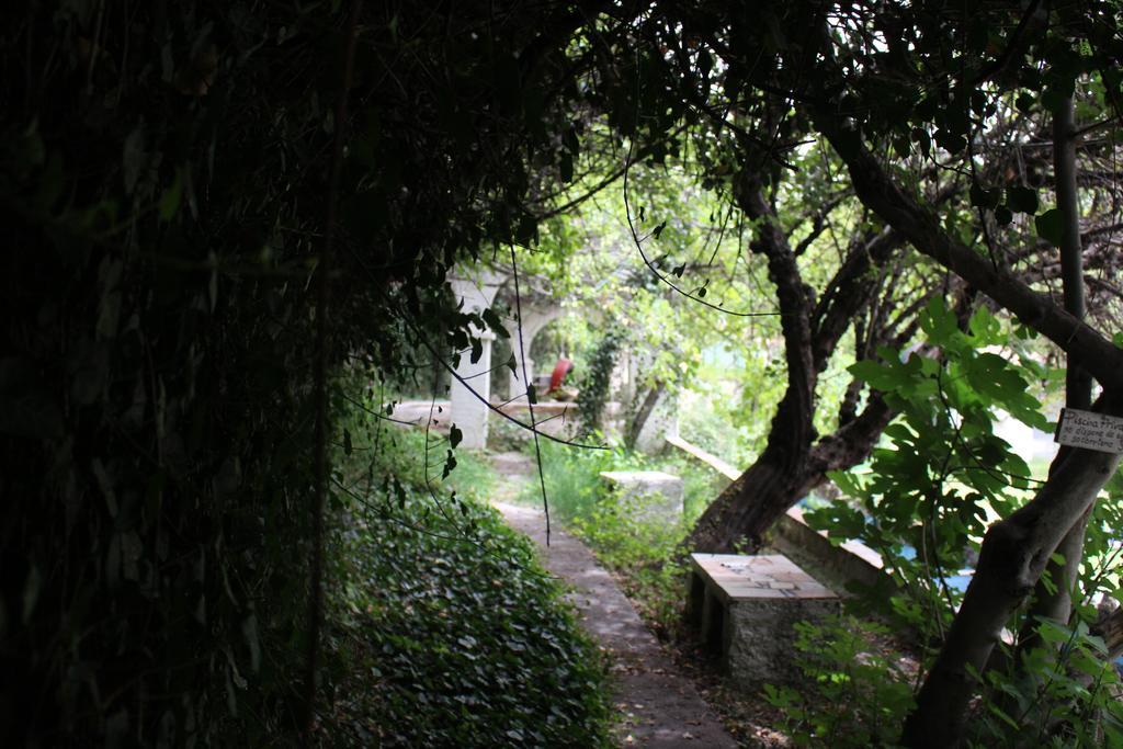 Chorros Del Rio Mundo Bed & Breakfast Riopar Exterior photo